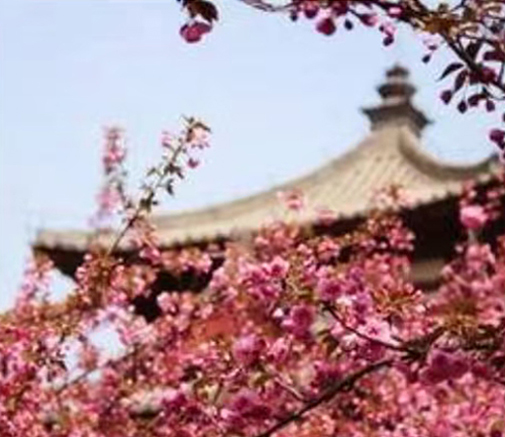 马镇二日游1